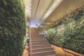 Barangaroo Lendlease Head Office